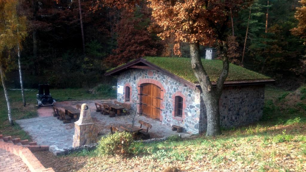 Апартаменты Dwor Mysinek Grabowiec  Экстерьер фото